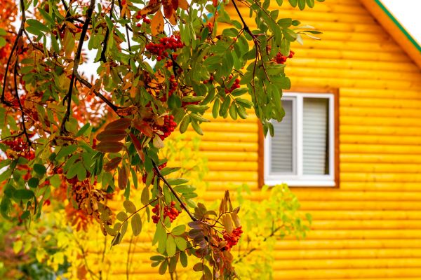 Garden Window Replacement in San Rafael